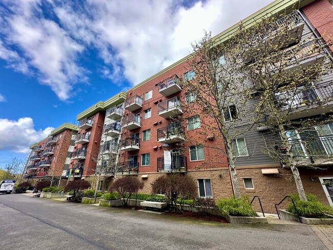 Ready Now! 1 Bedroom Condo located in Down... - Ready Now! 1 Bedroom Condo located in Down... Unit 303