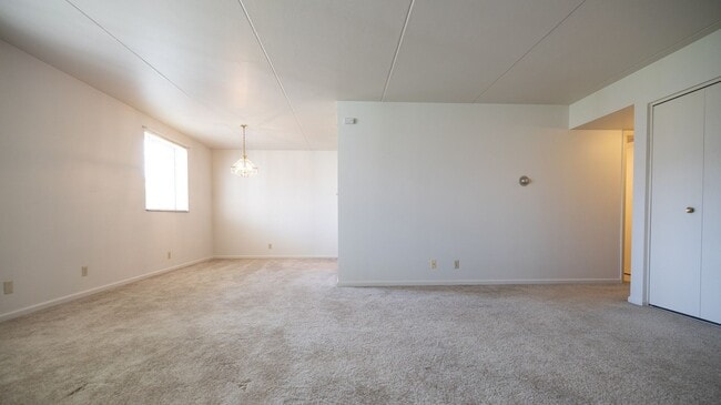 Photo - Craigdell Gardens