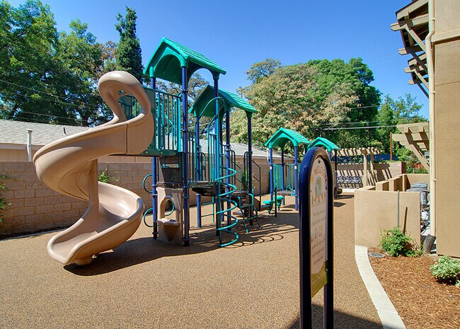 Photo - Bidwell Park