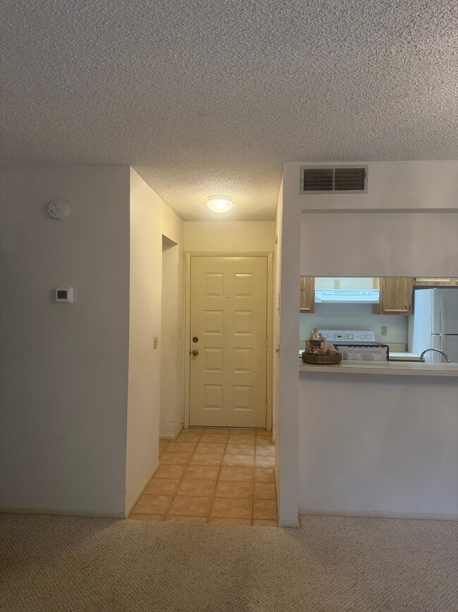 Entry Way - 4207 Winding Moss Trl Unit 104