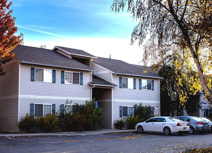 Photo - Mountain Shadows