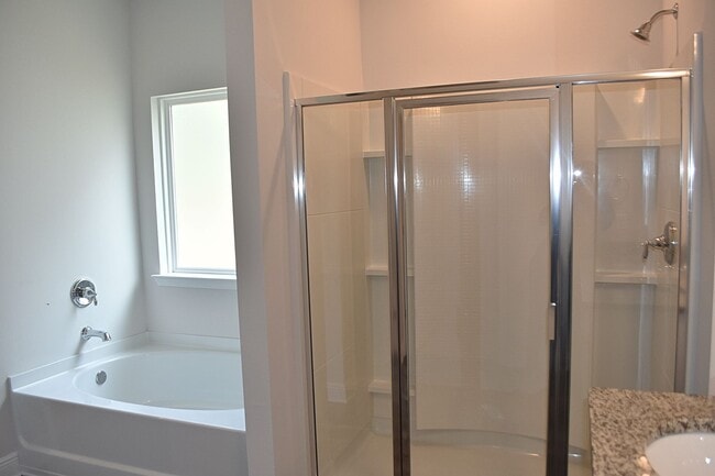 Photo - Brand New- 4 Bedroom 2 Bath in Santa Rosa ...