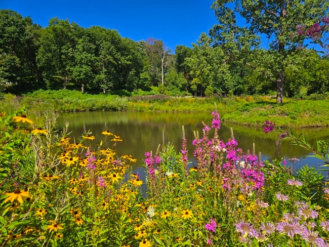 Gorgeous Nature Surrounds You at Hideaway Apartments