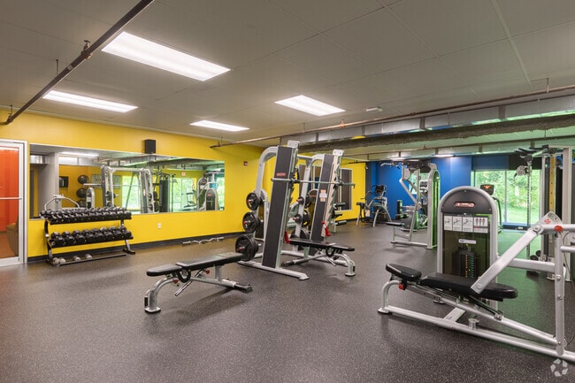 Gym side view
