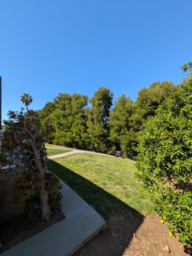 Photo - PC - 6673-6675 Amherst Unidad 6675