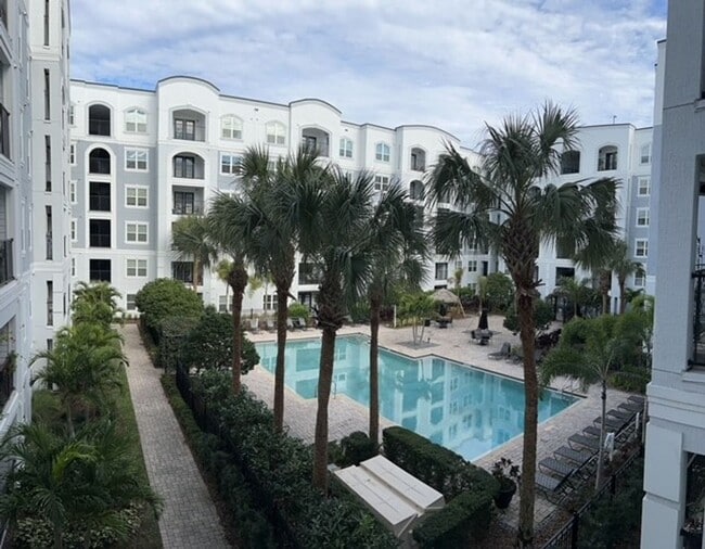 Downtown stunner! one bed one bath in the ... - Downtown stunner! one bed one bath in the ... Rental
