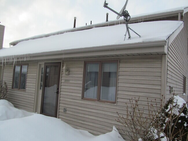 Building Photo - 3806 Blossom Terrace Rental