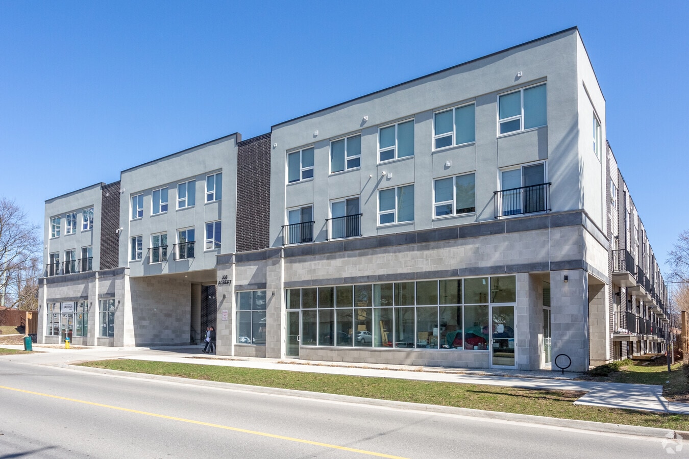 Ivy Three - Ivy Three