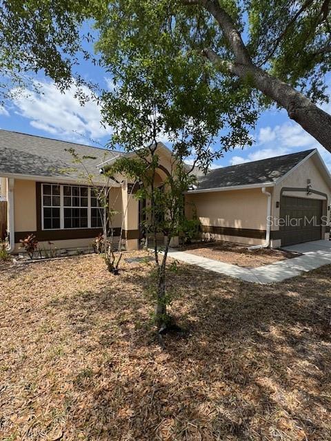 Photo - 11301 Cypress Leaf Dr House