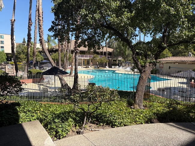 main pool with BBQ area - 350 N Civic Dr Unit 206