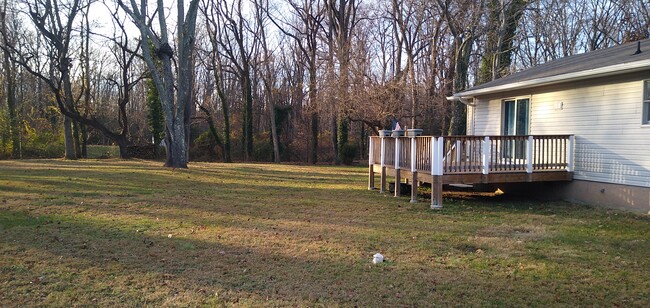 Back yard - 211 Ash Ln