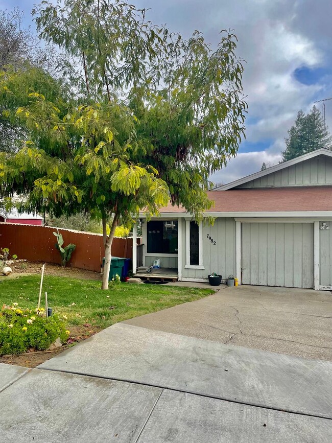 Photo - 7980-7982 Cavalli Way Townhome