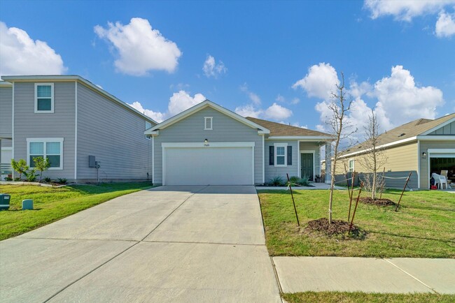 19608 Caymus Drive, Pflugerville, 78660 - 19608 Caymus Drive, Pflugerville, 78660 House