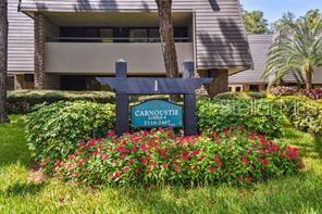 Building Photo - 36750 US Hwy 19 N Unit 3-203 Rental