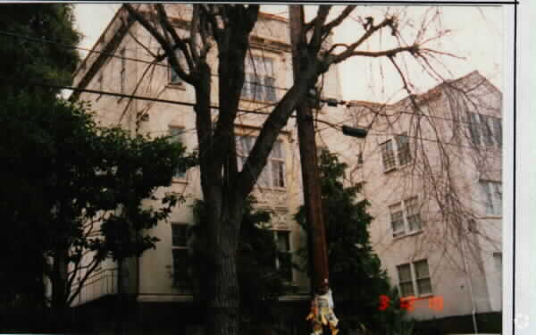 Photo - Toyon Court