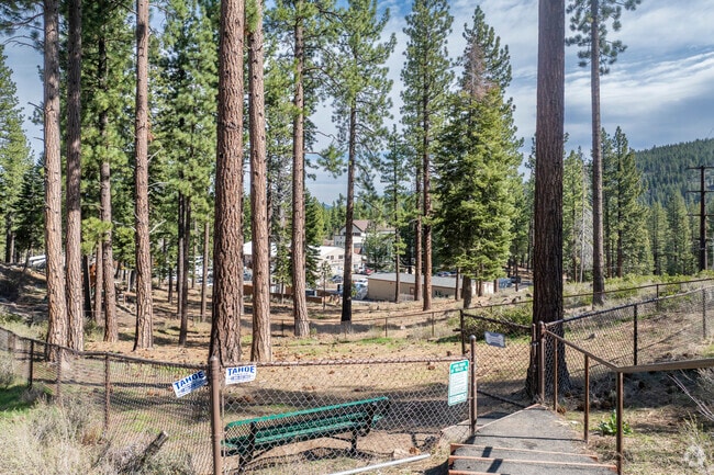 Dog Park