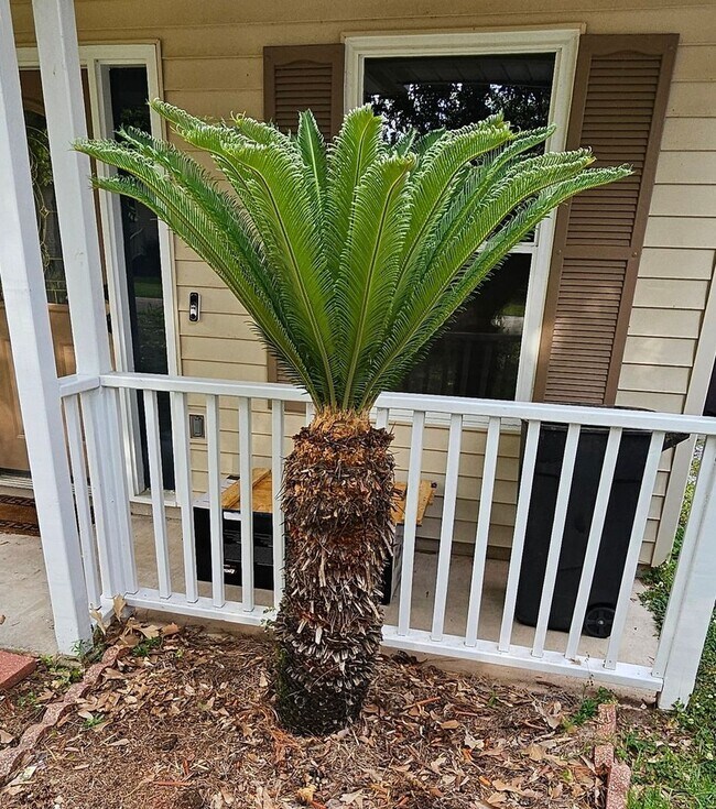 Photo - Charming 3BR House in Covington