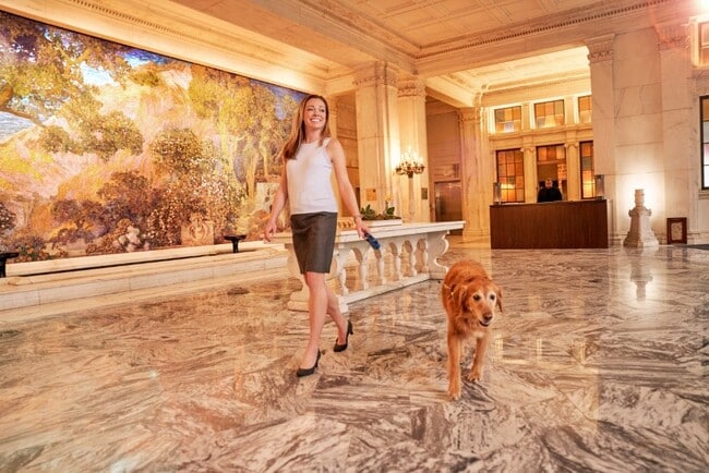 24/7 concierge to welcome you & your fur fam home