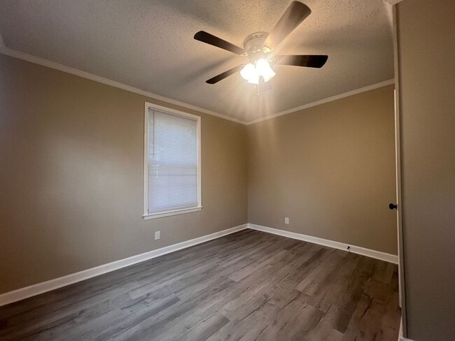 Photo - AVAILABLE TO SHOW!