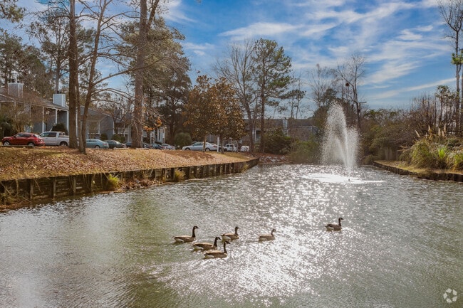 Community Area