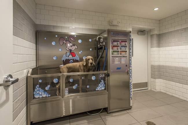 Spa de mascotas - Beach House Apartments