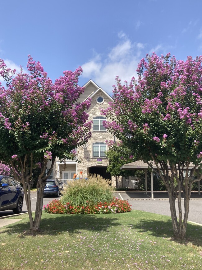 Photo - The Pointe! at Hot Springs