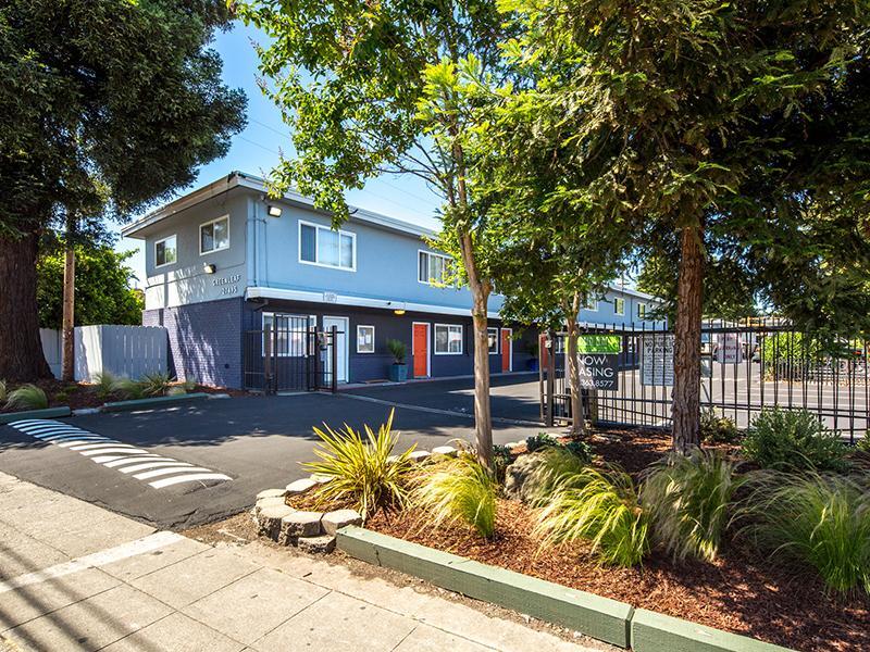 Greenleaf Apartments For Rent In Hayward Ca Forrent Com