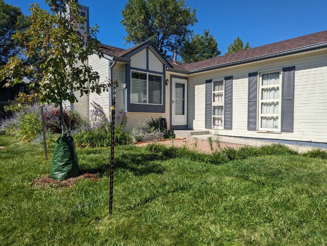 Building Photo - NW Longmont ranch home!