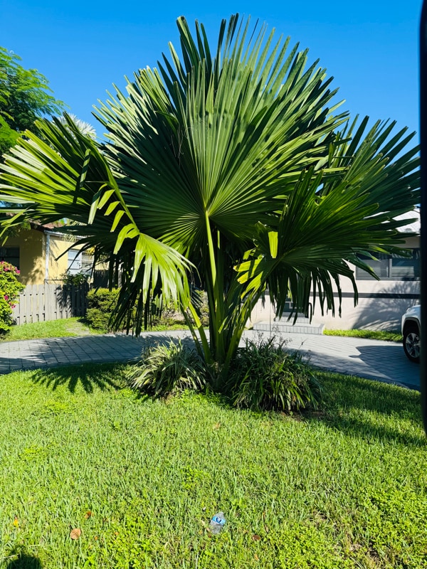 Photo - 7771 Simms St Unidad A