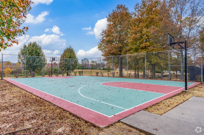 Basketball Court