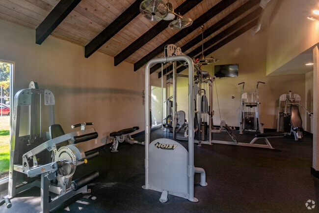 Gimnasio