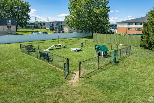 Dog Park