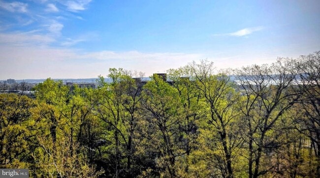 Photo - 5903 Mt Eagle Dr Unidad 802