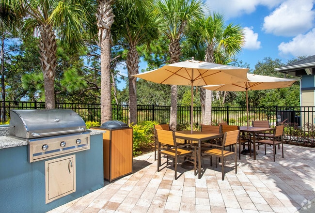 Área para parrillas comunitaria (edificio principal) - Hammock Ridge, II