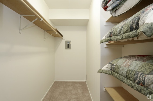 1 Bedroom Classic - Walk-in Closet