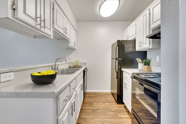 Photo - Tesoro Apartments