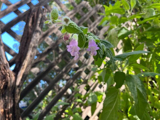 Photo - 23321 Ida Pl