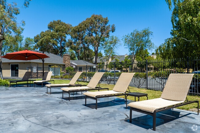 Pool Deck