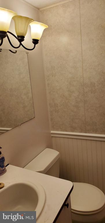 Photo - 24 Waterloo Rd