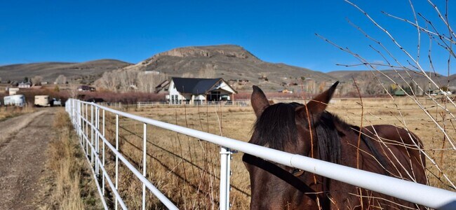 Photo - Winter Rental