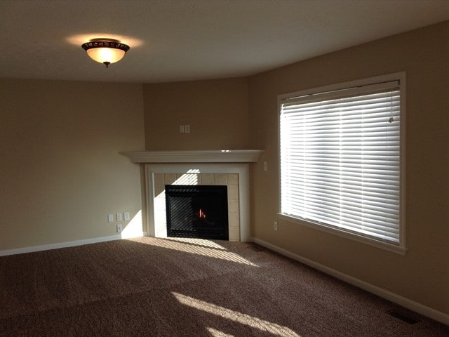 Photo - 2305 Treetop Ln