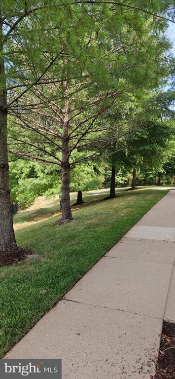 Photo - 12332 Rollys Ridge Ave