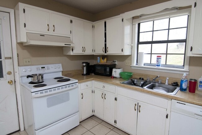 Photo - Whippoorwill