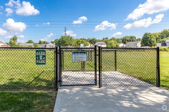 New Dog Park