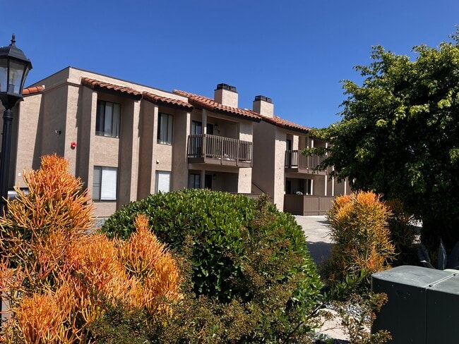 Photo - WELCOME TO THE VINE APARTMENTS!
