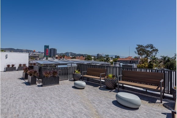 Photo - Cahuenga Ivy by Wiseman