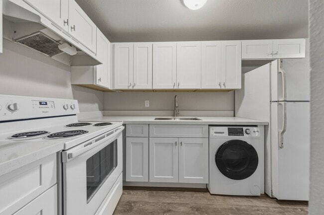 Photo - Whispering Firs