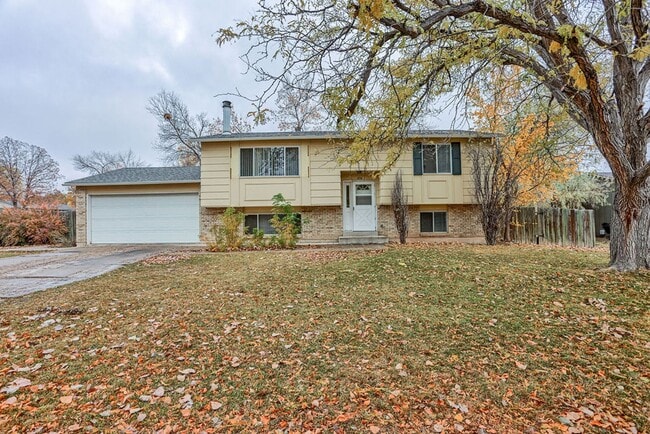 Photo - Beautiful 4 Bedroom Split-Level Home – Large Lot in West Fort Collins