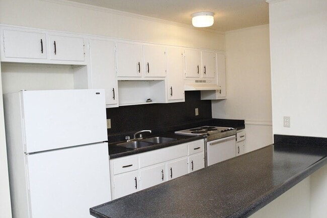 Photo - University Garden