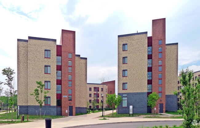 Photo - Dolphin Cove